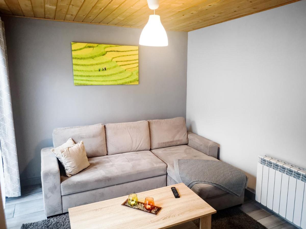 Apartamenty Mountain View - Bezplatny Parking Krynica-Zdrój Exterior foto