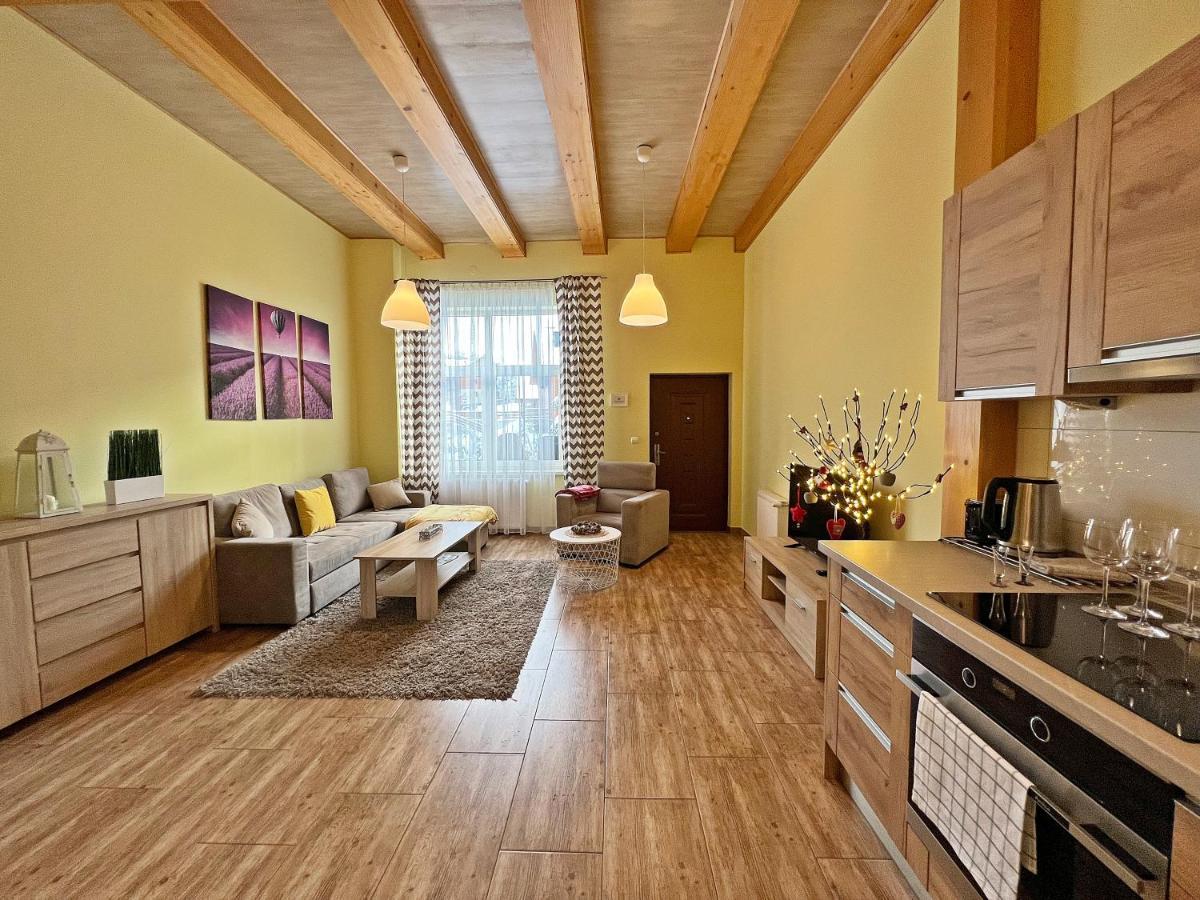 Apartamenty Mountain View - Bezplatny Parking Krynica-Zdrój Exterior foto